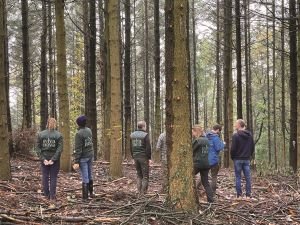 Renforcer la résilience des forêts en Europe