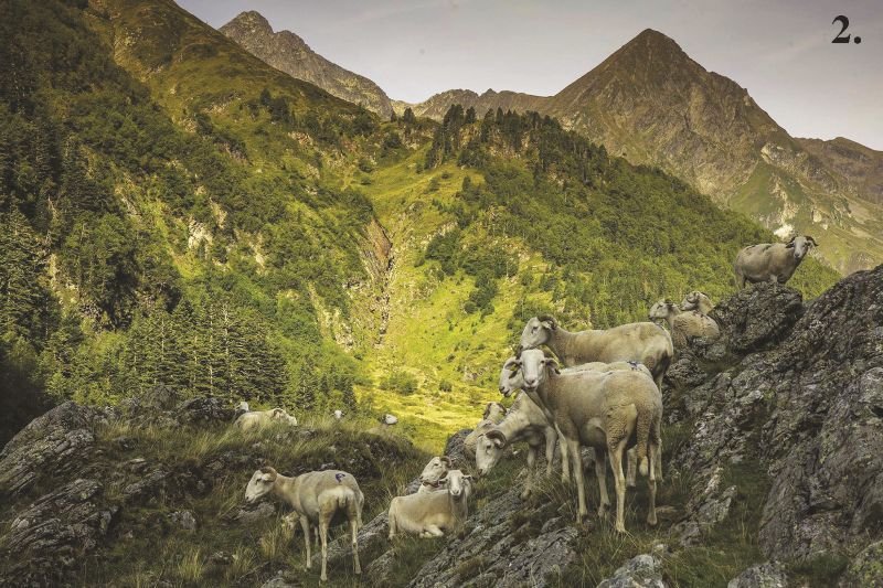 Evasion dans les montagnes françaises